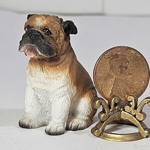 Bulldog Miniature
